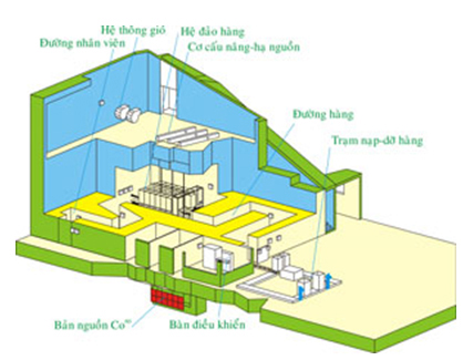 Chiếu xạ An Phú bị phạt và truy thu trên 4,5 tỷ đồng tiền thuế