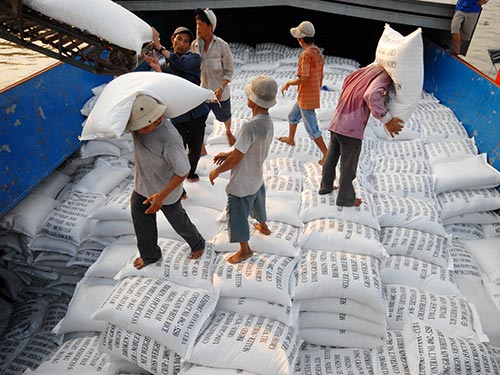 Thu hồi hàng loạt giấy phép xuất khẩu gạo