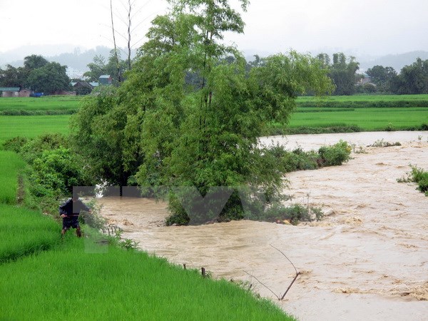 xuat hien lu tren thuong nguon song hong va song thai binh