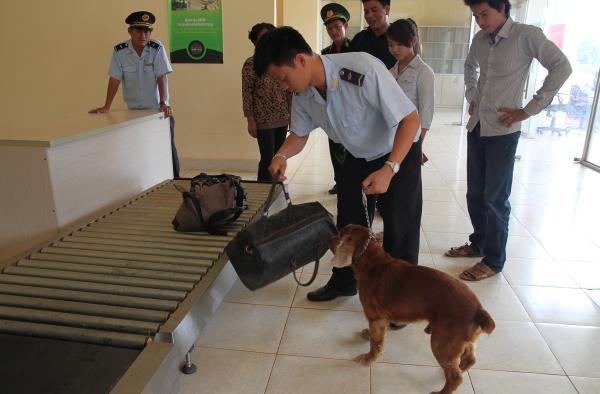 toi pham ma tuy qua bien gioi tay ninh dien bien phuc tap