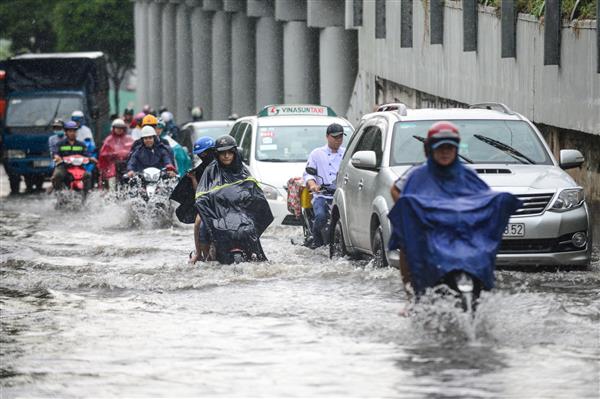 tphcm den hen lai ngap