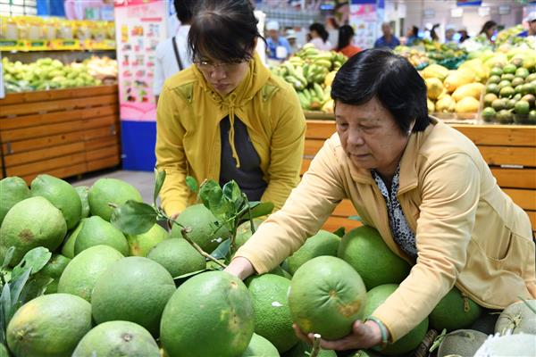 TP.HCM: Khởi động nhận diện sản phẩm xanh