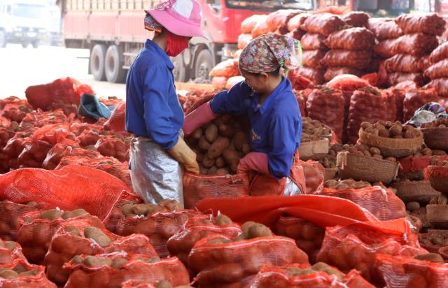 Có nên đầu tư đa ngành trong nông nghiệp?