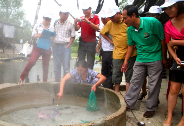 Hoa Sen Group “lấn sân” sang du lịch nghỉ dưỡng, chữa bệnh tại Bình Định