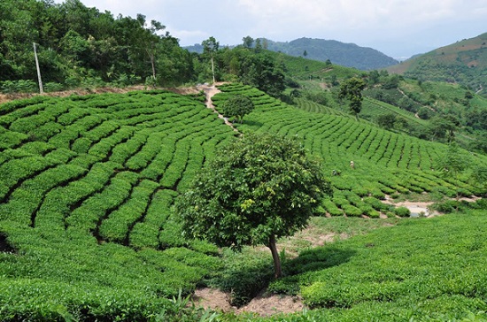 tron ha noi len suoi giang tranh nong