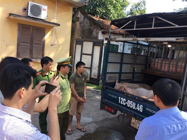 Lạng Sơn: Bắt giữ ô tô vận chuyển trên 1,5 tấn thịt lợn nhập lậu