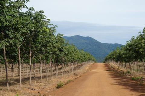 hoang anh gia lai thiet hai gi trong vu vo dap thuy dien tai lao