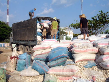xuat nhap khau tang 313 tinh den 15 8