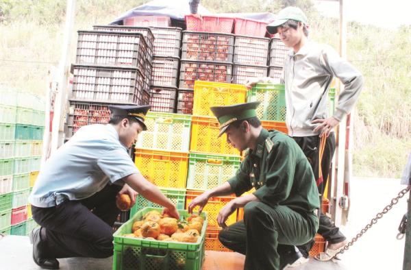 Cạnh tranh với hàng Trung Quốc: Trong, ngoài đều lo