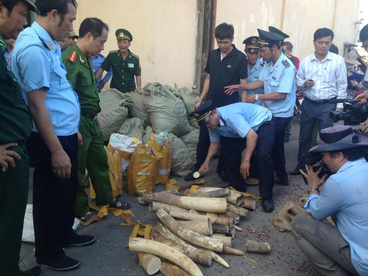 Ngà voi, vẩy tê tê bắt giữ tại cảng Tiên Sa lên đến hơn 5 tấn