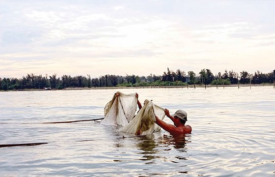 Săn cá tiến vua