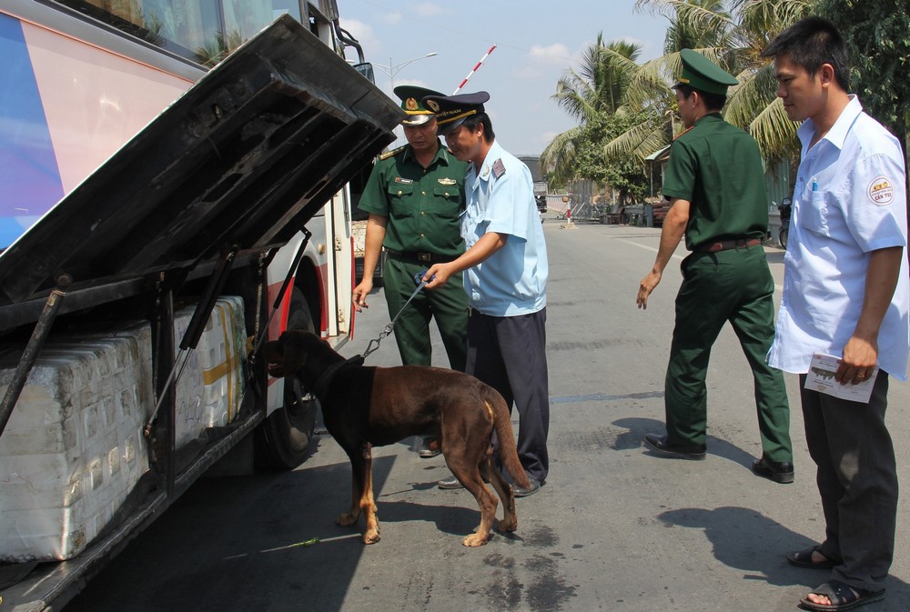 an giang tang cuong xac lap chuyen an chung de dau tranh hieu qua voi buon lau