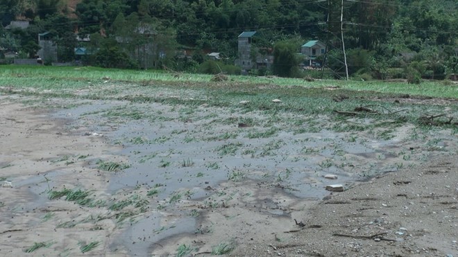 mua lu kinh hoang tan pha huyen mien nui cua tinh son la