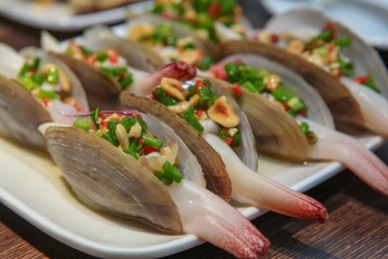 Tu hài Vân Đồn, hải sản quý của vùng biển Quảng Ninh