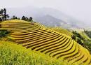 doc dao le hoi ruong bac thang mu cang chai