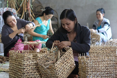 Hỗ trợ thành lập Hiệp hội Tài chính vi mô