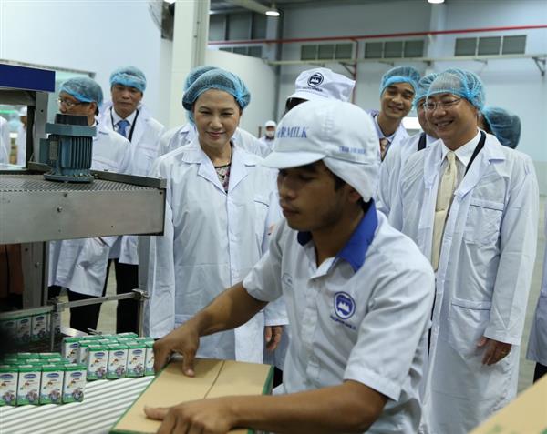 doan dai bieu quoc hoi tham nha may sua angkor cua vinamilk tai campuchia