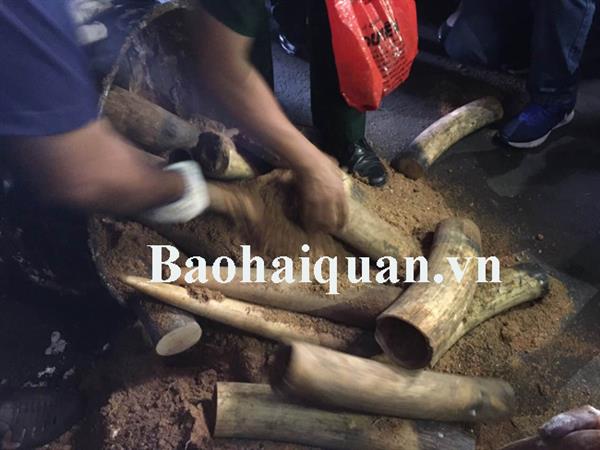 tren 13 tan nga voi trong 2 container nhua duong