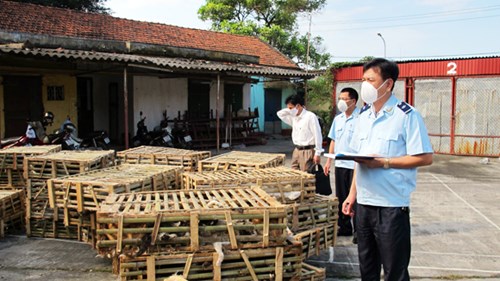 quang ninh tang cuong kiem soat ve sinh an toan thuc pham