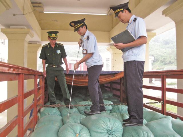 Phối hợp nâng cao hiệu quả công tác kiểm tra chuyên ngành