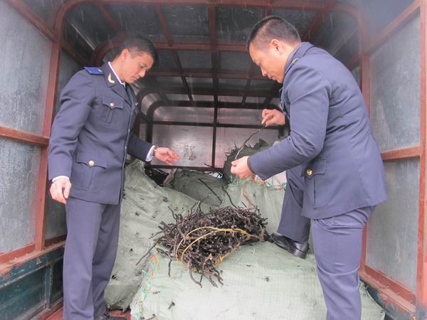 hai quan quang ninh tang cuong chong buon lau cuoi nam