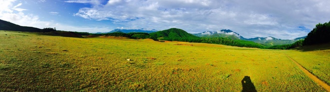 ho hoa trung thao nguyen co vang cua da nang