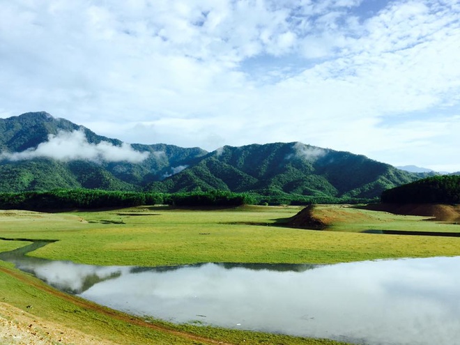 ho hoa trung thao nguyen co vang cua da nang