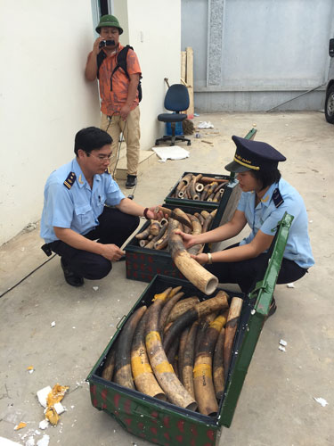 309 kg nga voi qua duong hang khong bi phat hien nhu the nao