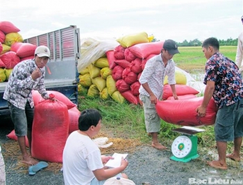 day manh thu mua tieu thu lua gao hang hoa