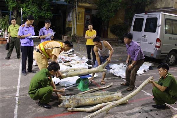 phat hien gan 600kg go sua do khong ro nguon goc