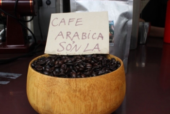 Cà phê Sơn La được bảo hộ chỉ dẫn địa lý
