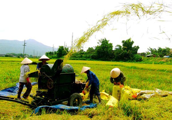 Khoảng cách chênh lệch về kết quả xây dựng nông thôn mới còn lớn