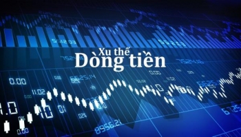 xu the dong tien 2017 mot nam chua tung co