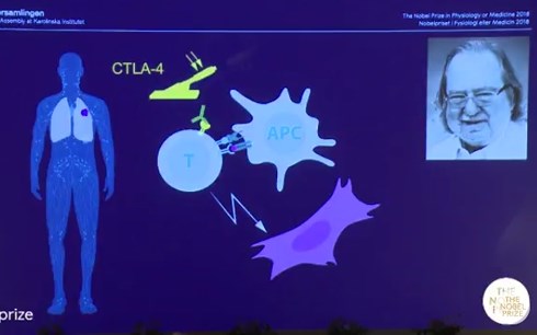nobel y hoc 2018 thuoc ve my nhat ban voi phuong phap tri ung thu