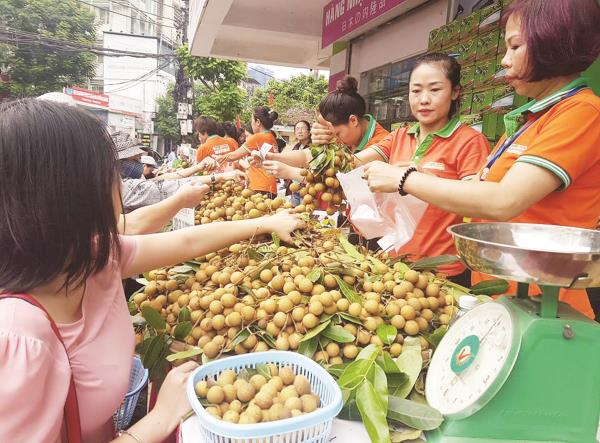 xuat khau nong san quotno roquot ca ve chieu rong lan chieu sau