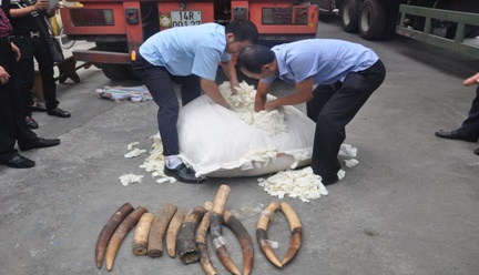 thong tin moi ve vu bat giu nga voi o hai phong