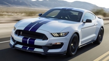 ford mustang shelby gt350 ngua hoang cuc khoe