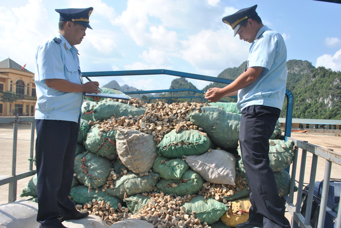 de xuat thanh lap dia diem kiem tra tap ket hang hoa xnk tai binh nghi