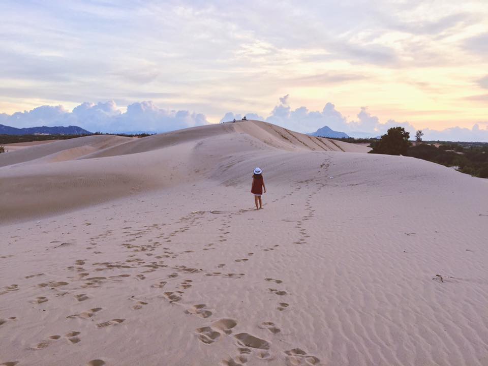 hoang so doi cat nam cuong