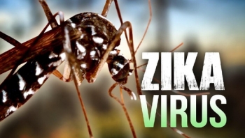 2 chi em ruot cung nhiem virus zika