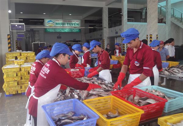 Ông Trương Đình Tuyển: EVFTA tiếp cận thị trường toàn diện nhất