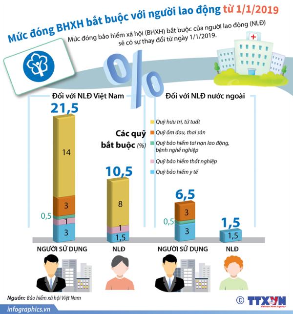 infographic muc dong bhxh bat buoc voi nguoi lao dong tu 112019