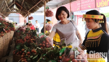 Vải thiều Bắc Giang được công nhận là món ăn đặc sản đạt giá trị kỷ lục Đông Nam Á