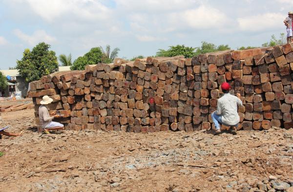 Chống buôn lậu và quản lý gỗ nhập khẩu qua biên giới