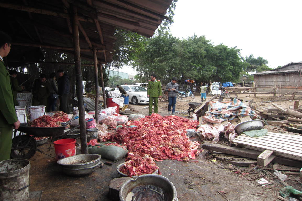 ha noi phat hien mot luong lon da trau bo mo dong vat ban
