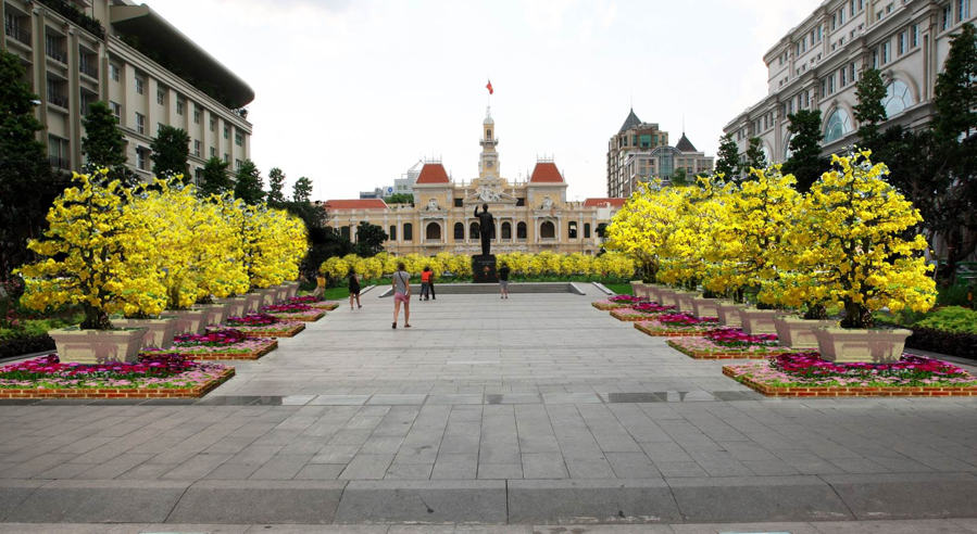 duong hoa nguyen hue se dien ra trong 8 ngay tet