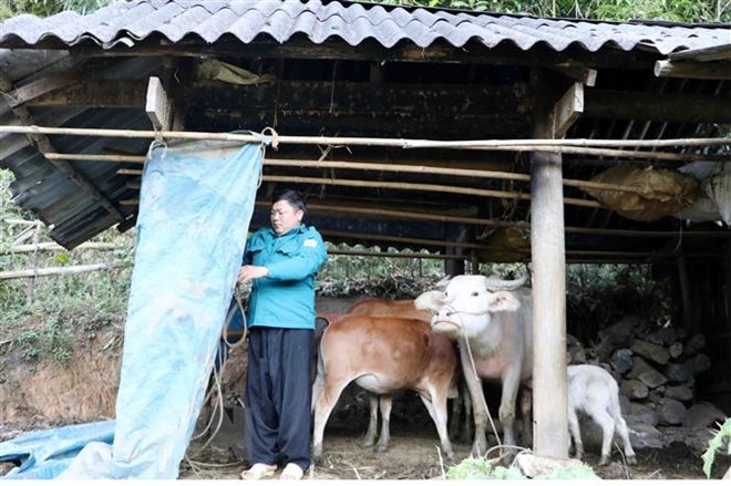 bac bo duy tri ret dam ret hai vung nui co noi duoi 8 do c