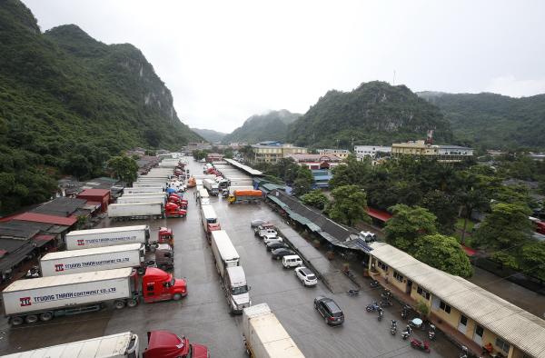 Kịch bản nào cho kinh tế 2019