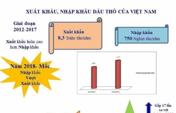 [Infographics] điểm nổi bật của hoạt động xuất nhập khẩu dầu thô
