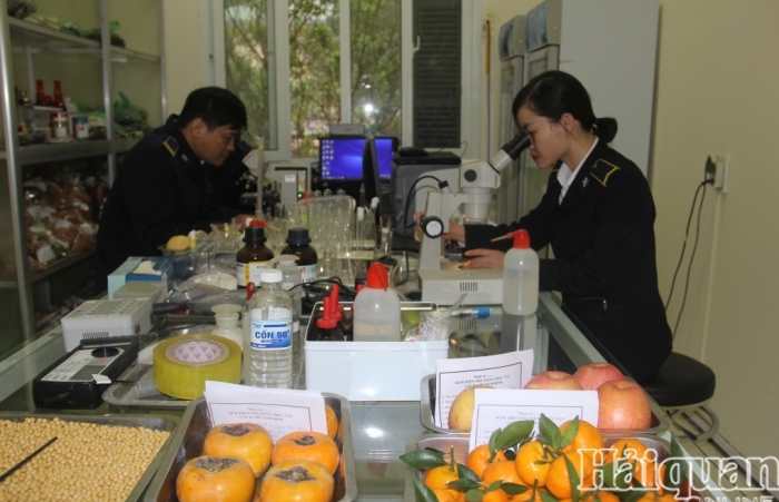 Lạng Sơn: Kiểm soát chặt chẽ nông sản xuất nhập khẩu trong dịp Tết